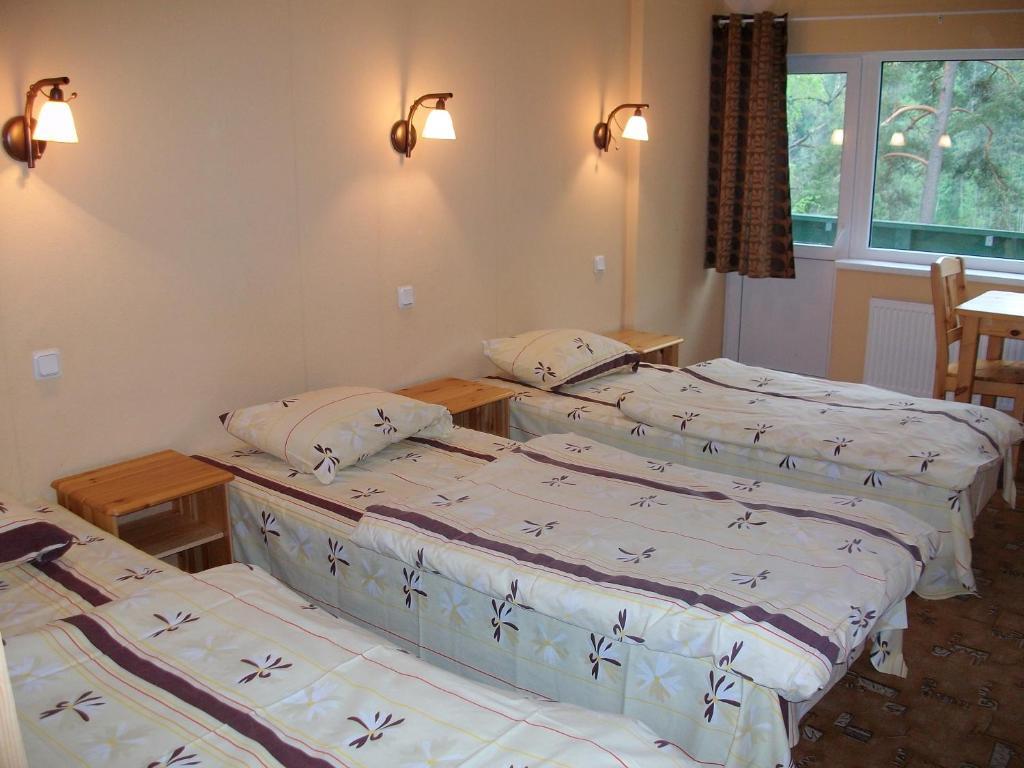 Nelijaerve Holiday Centre Aegviidu Rom bilde
